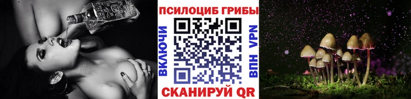 Галлюциногенные грибы ЛСД  Новомичуринск 